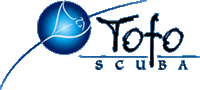 Tofo Scuba